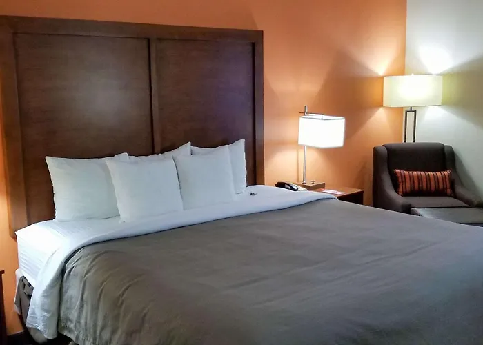 Econo Lodge Inn & Suites East Houston I-10